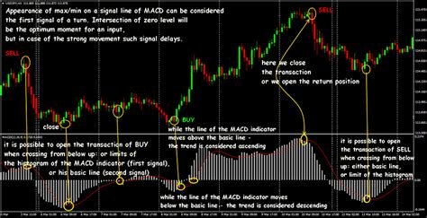 Moving Average Convergence Divergence, ERC-20, Token Burn
